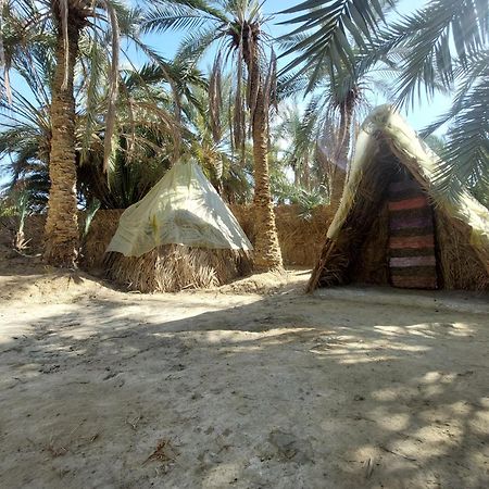 Forest Camp Siwa - كامب الغابة Siwa Oasis المظهر الخارجي الصورة