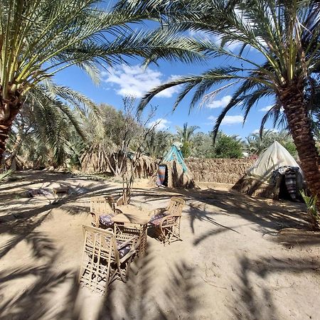 Forest Camp Siwa - كامب الغابة Siwa Oasis المظهر الخارجي الصورة