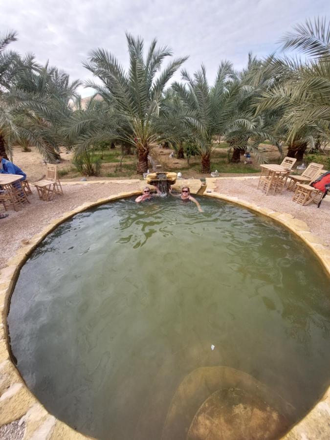 Forest Camp Siwa - كامب الغابة Siwa Oasis المظهر الخارجي الصورة