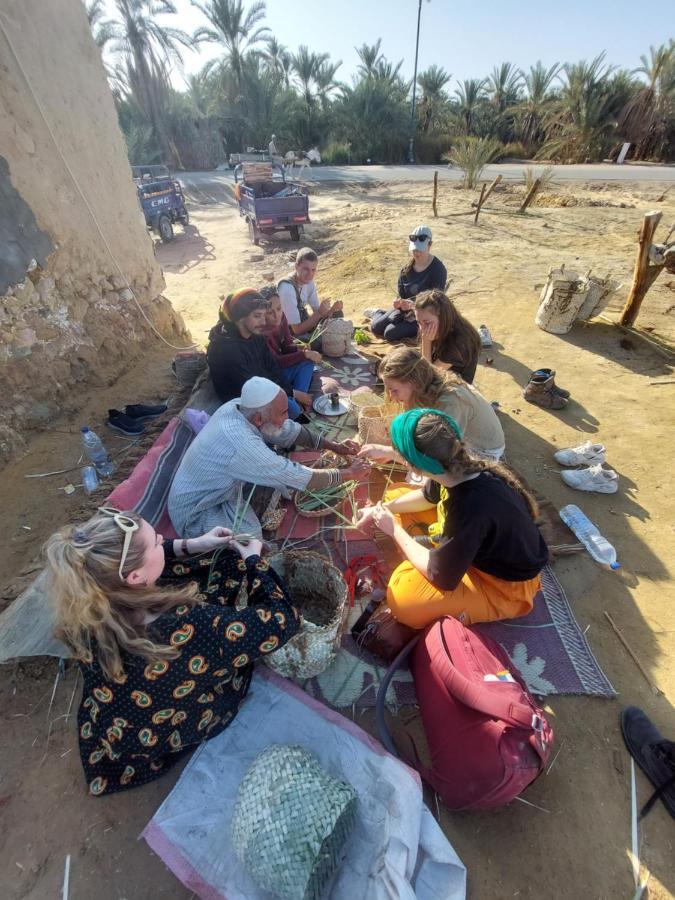 Forest Camp Siwa - كامب الغابة Siwa Oasis المظهر الخارجي الصورة