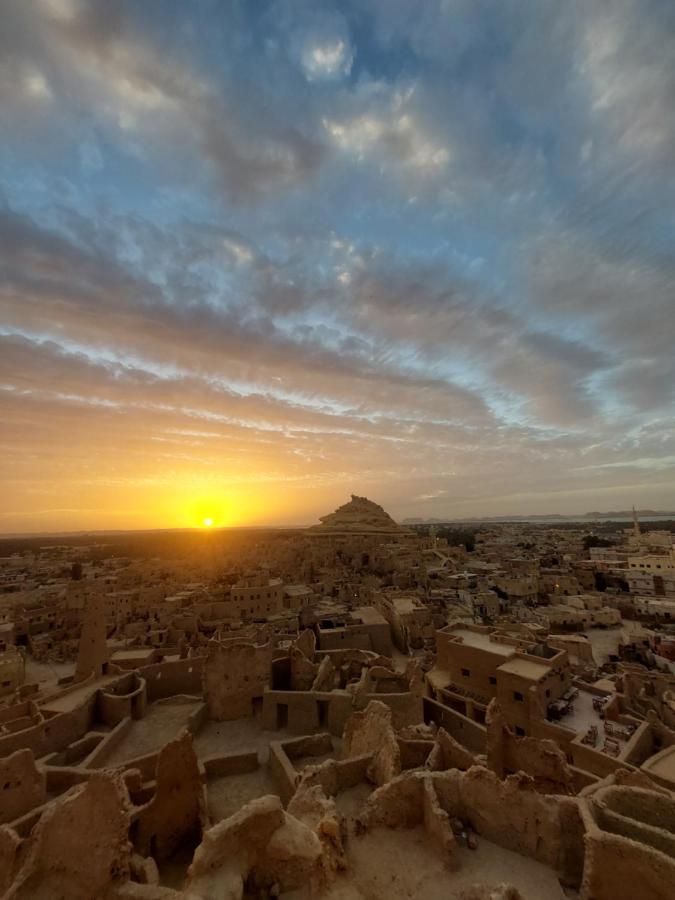 Forest Camp Siwa - كامب الغابة Siwa Oasis المظهر الخارجي الصورة