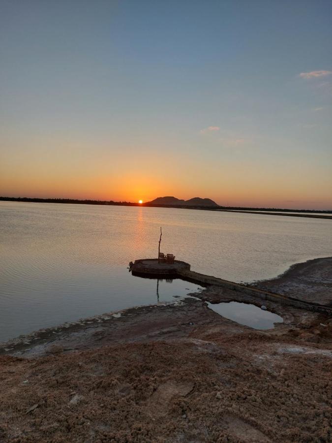 Forest Camp Siwa - كامب الغابة Siwa Oasis المظهر الخارجي الصورة