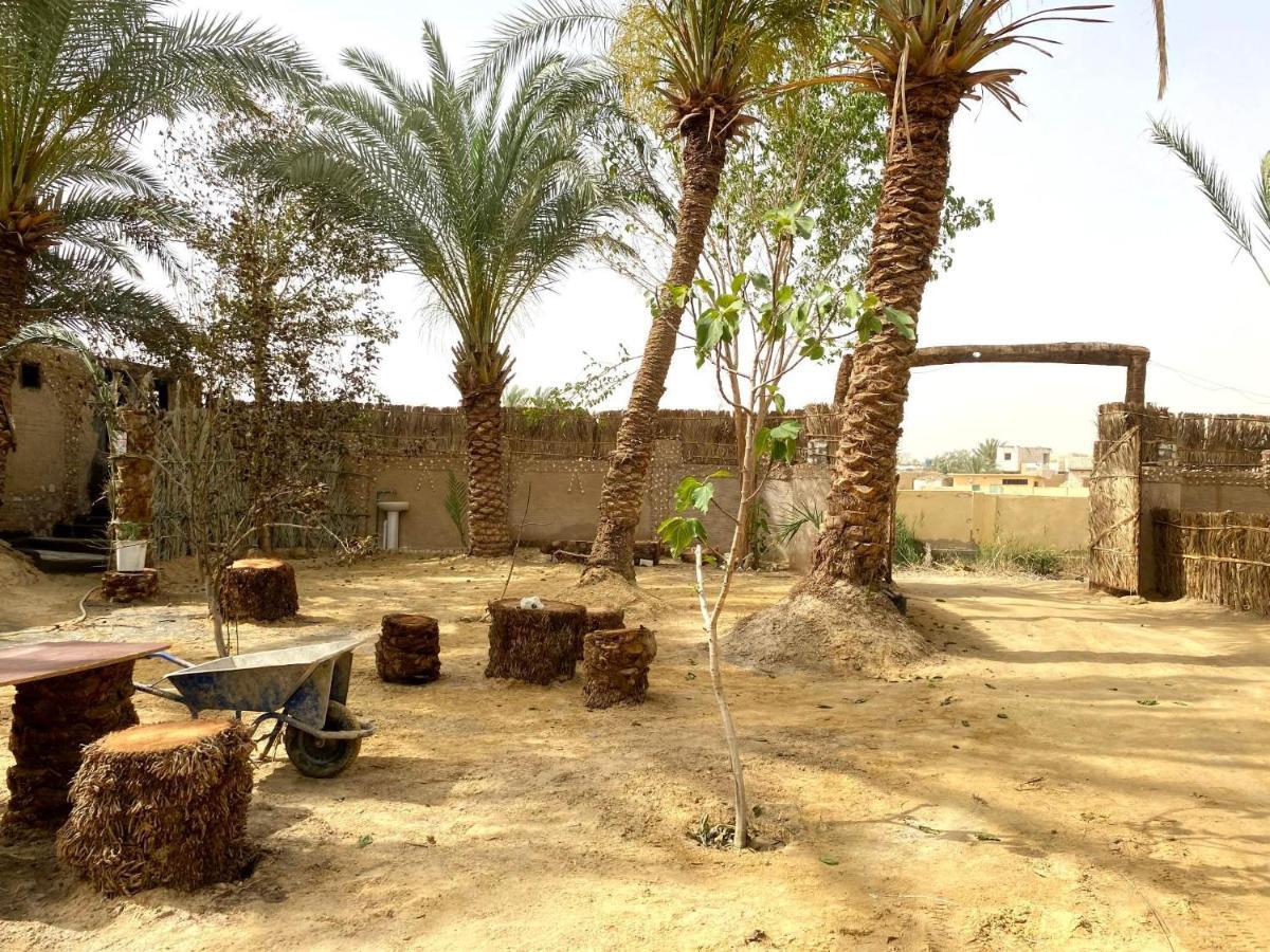 Forest Camp Siwa - كامب الغابة Siwa Oasis المظهر الخارجي الصورة