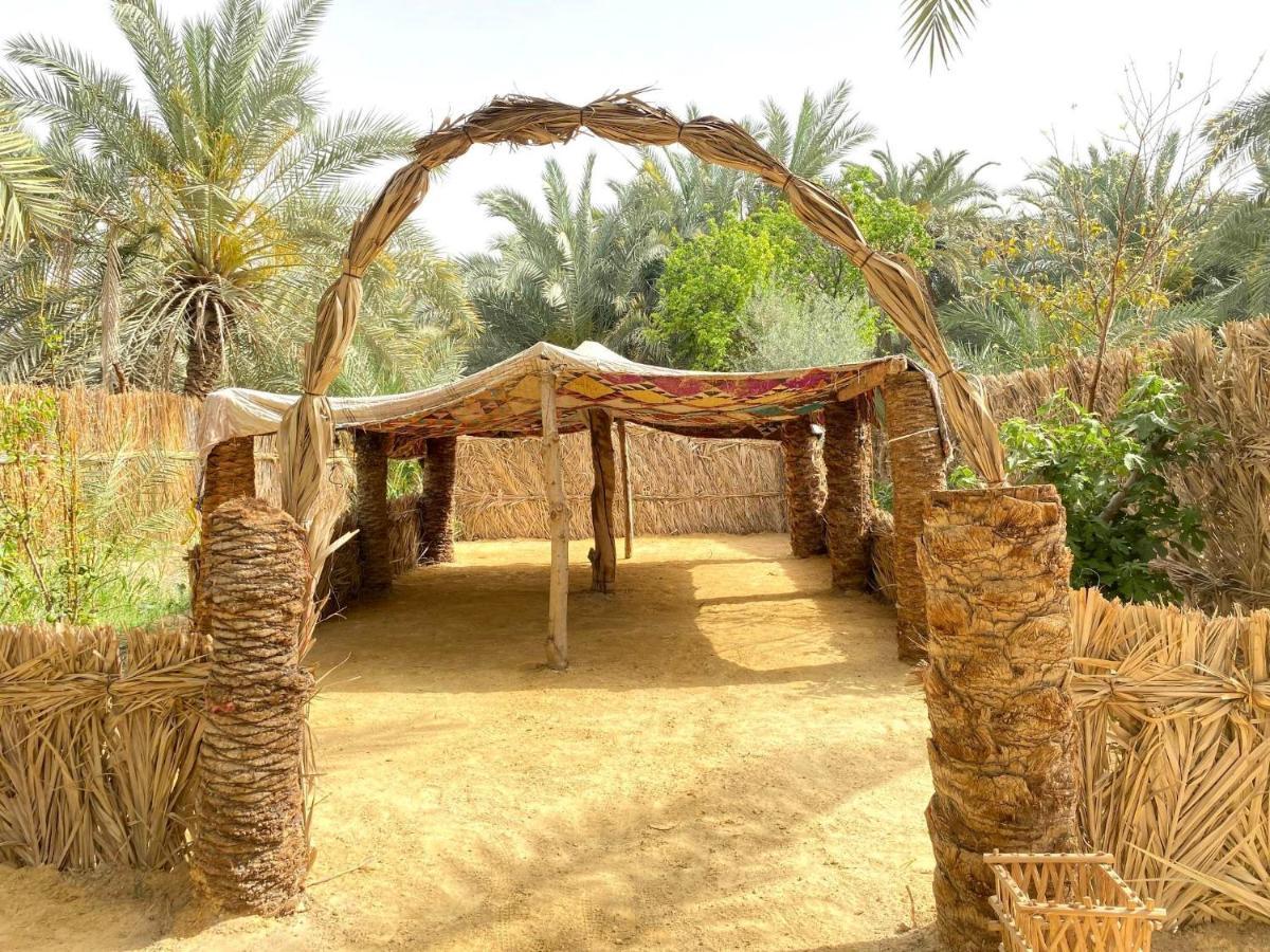 Forest Camp Siwa - كامب الغابة Siwa Oasis المظهر الخارجي الصورة