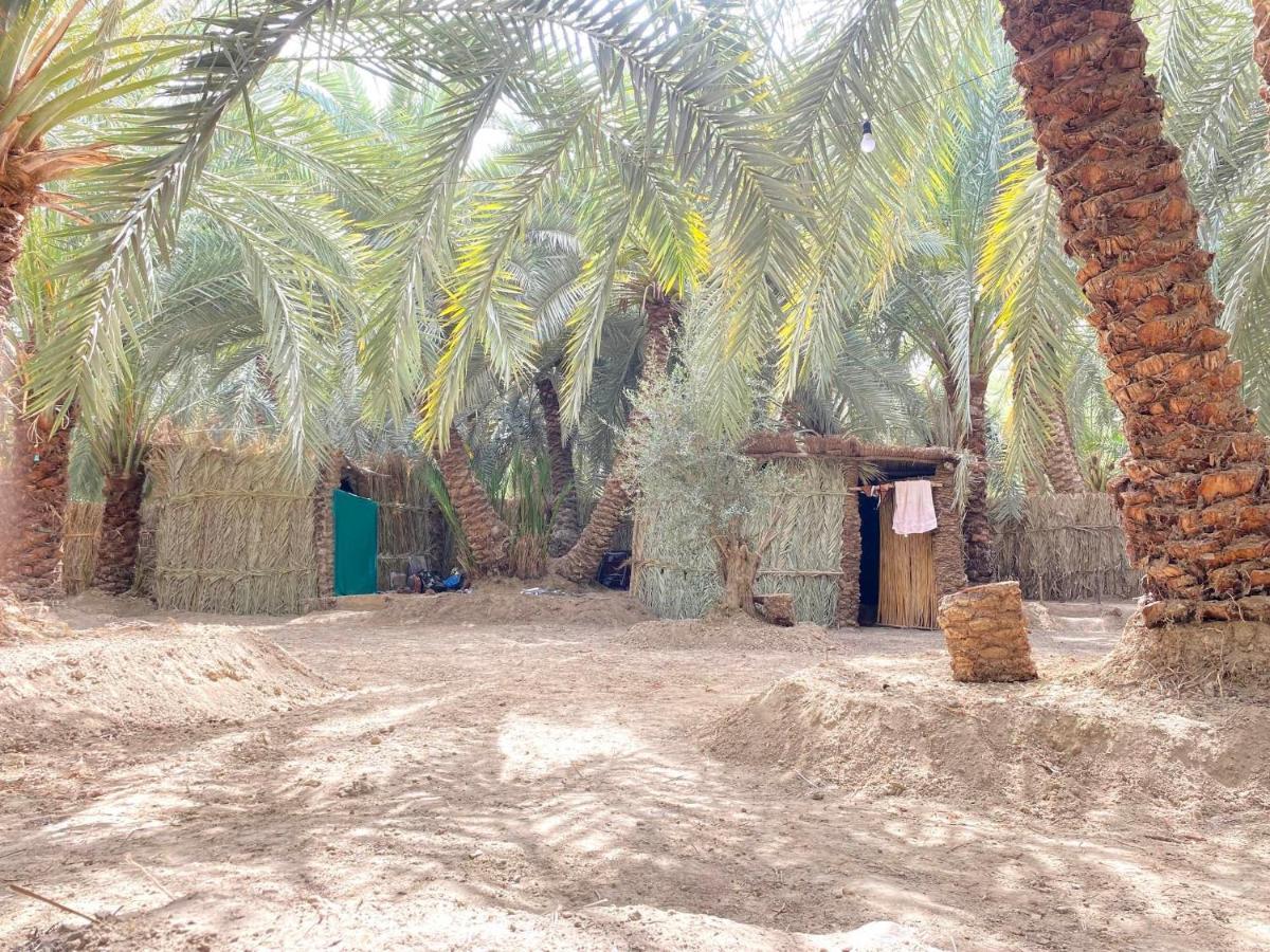 Forest Camp Siwa - كامب الغابة Siwa Oasis المظهر الخارجي الصورة