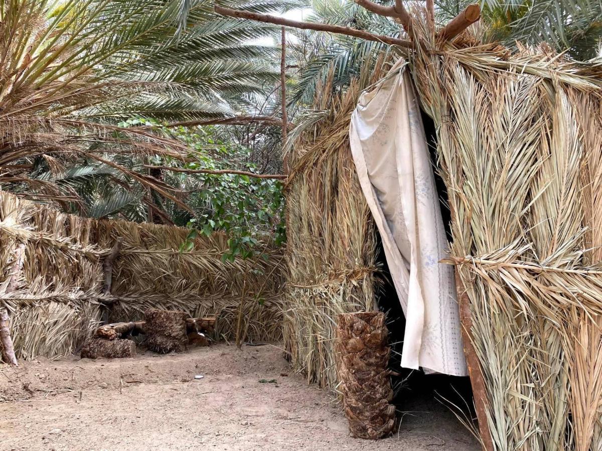 Forest Camp Siwa - كامب الغابة Siwa Oasis المظهر الخارجي الصورة