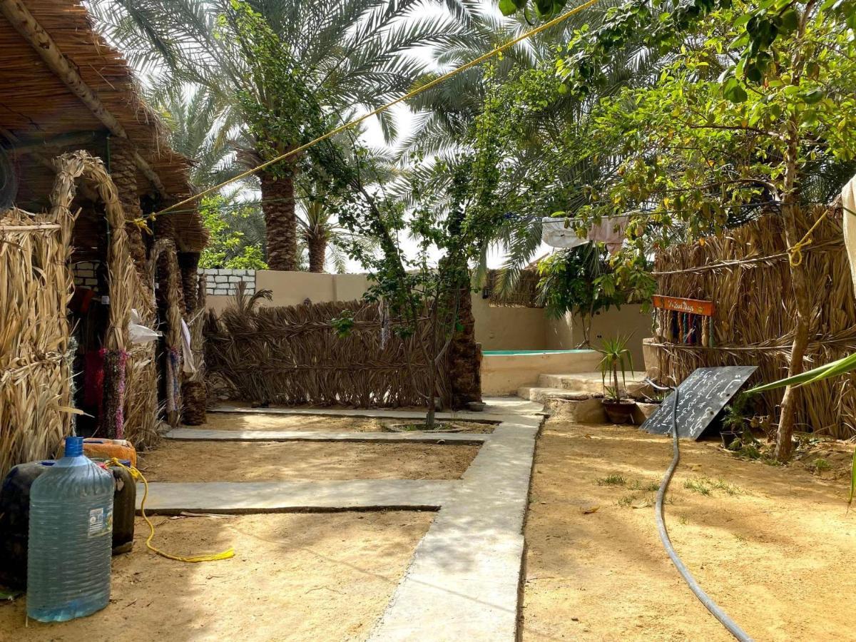 Forest Camp Siwa - كامب الغابة Siwa Oasis المظهر الخارجي الصورة