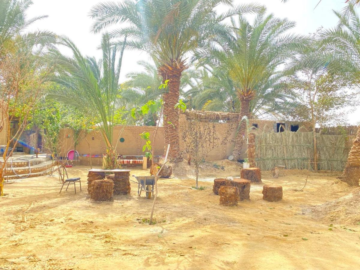 Forest Camp Siwa - كامب الغابة Siwa Oasis المظهر الخارجي الصورة