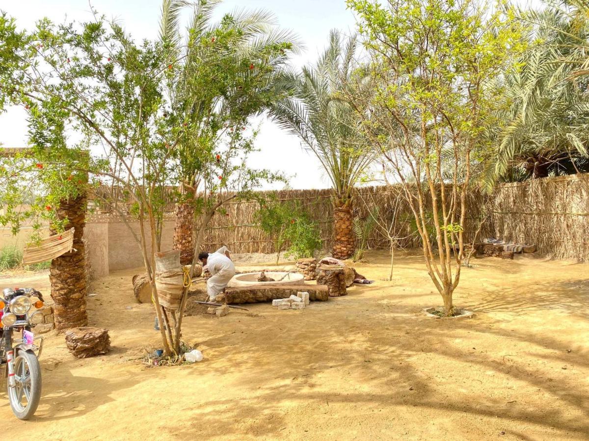 Forest Camp Siwa - كامب الغابة Siwa Oasis المظهر الخارجي الصورة