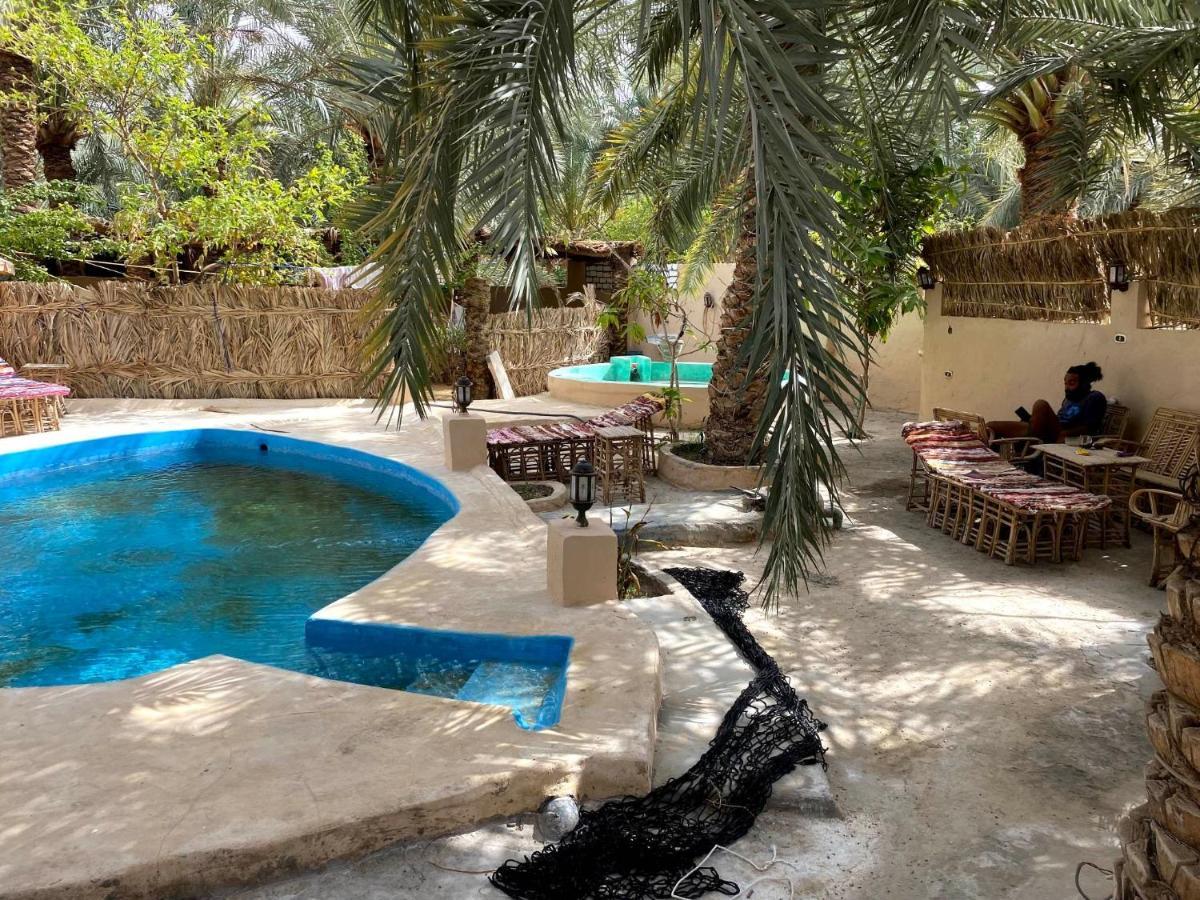 Forest Camp Siwa - كامب الغابة Siwa Oasis المظهر الخارجي الصورة