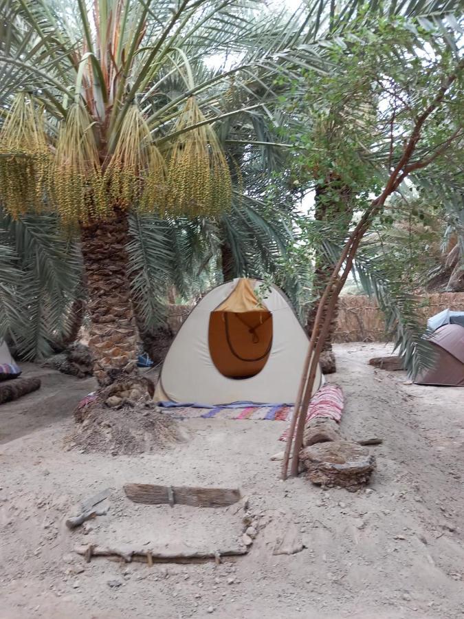 Forest Camp Siwa - كامب الغابة Siwa Oasis المظهر الخارجي الصورة