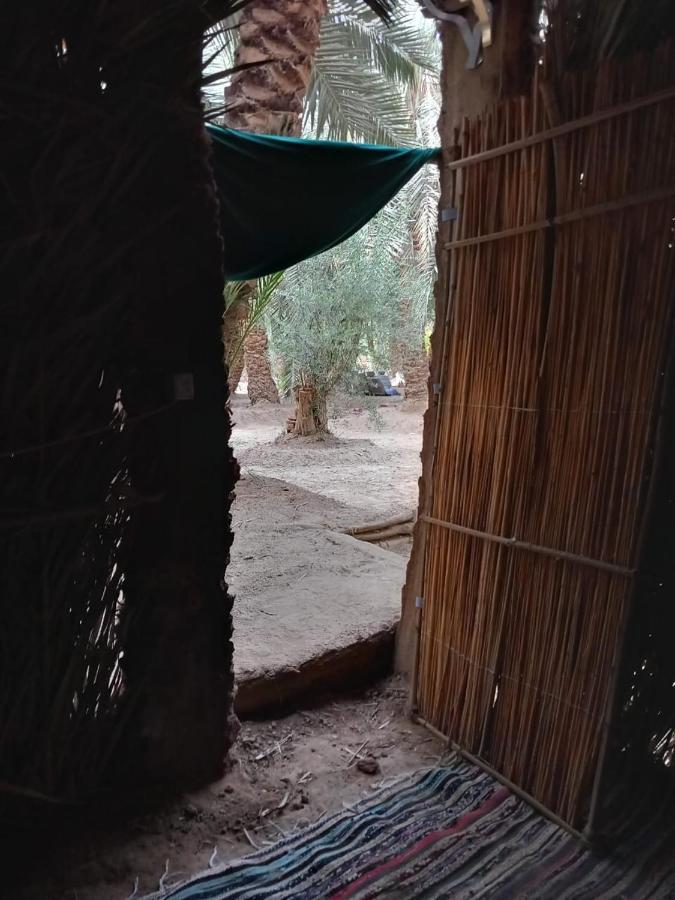 Forest Camp Siwa - كامب الغابة Siwa Oasis المظهر الخارجي الصورة