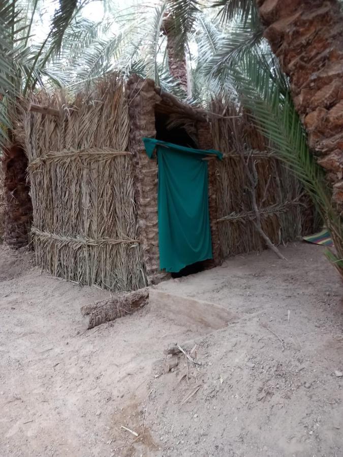 Forest Camp Siwa - كامب الغابة Siwa Oasis المظهر الخارجي الصورة