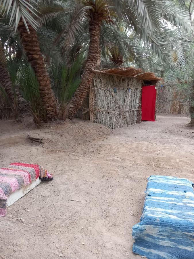 Forest Camp Siwa - كامب الغابة Siwa Oasis المظهر الخارجي الصورة