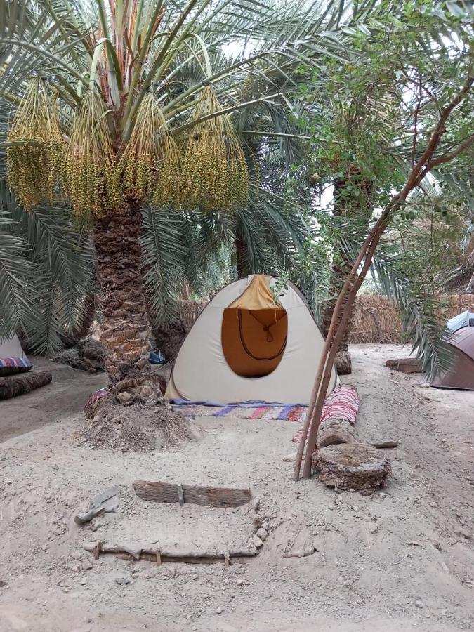 Forest Camp Siwa - كامب الغابة Siwa Oasis المظهر الخارجي الصورة