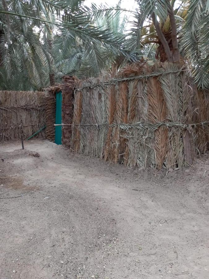 Forest Camp Siwa - كامب الغابة Siwa Oasis المظهر الخارجي الصورة