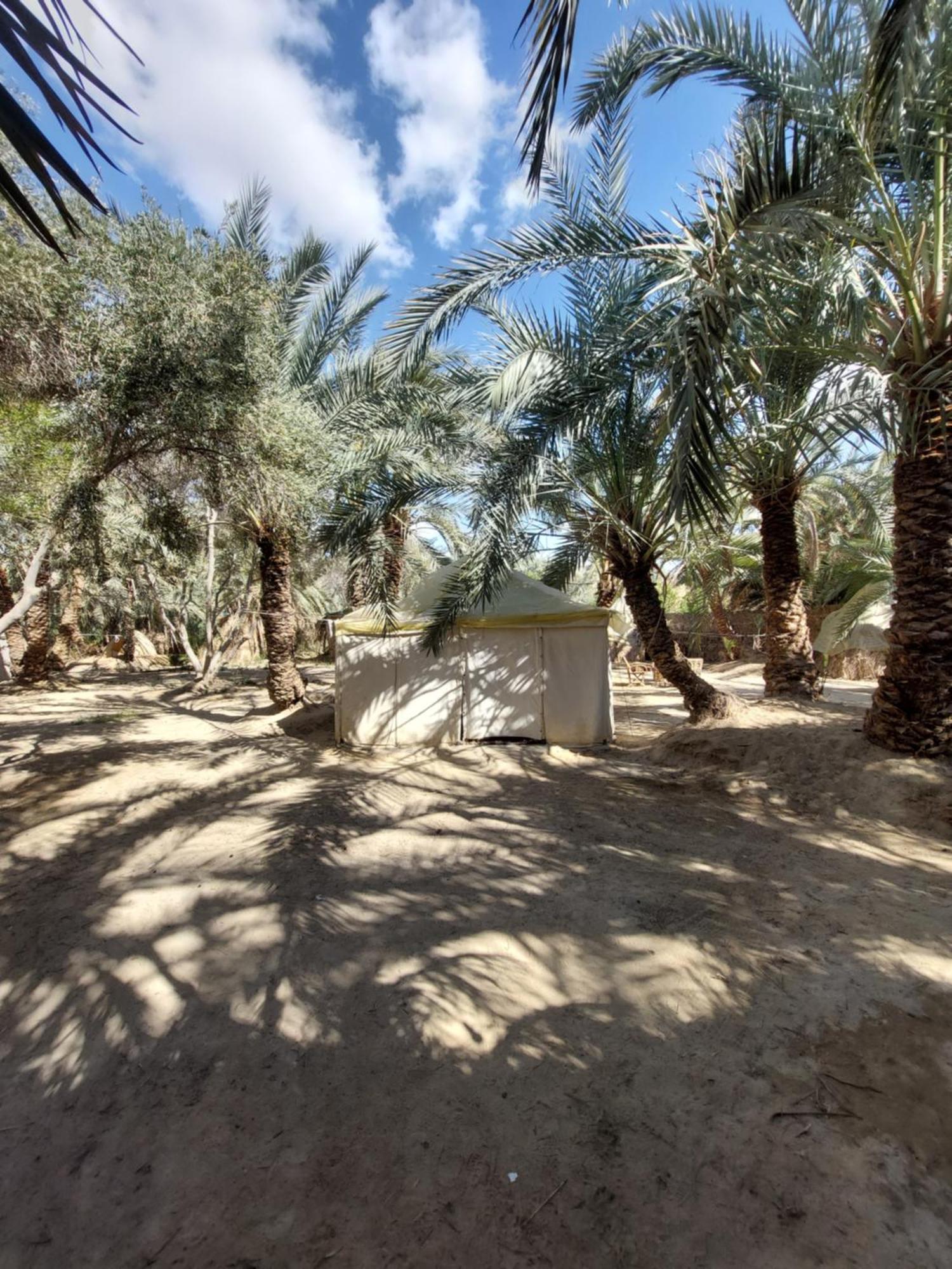 Forest Camp Siwa - كامب الغابة Siwa Oasis المظهر الخارجي الصورة