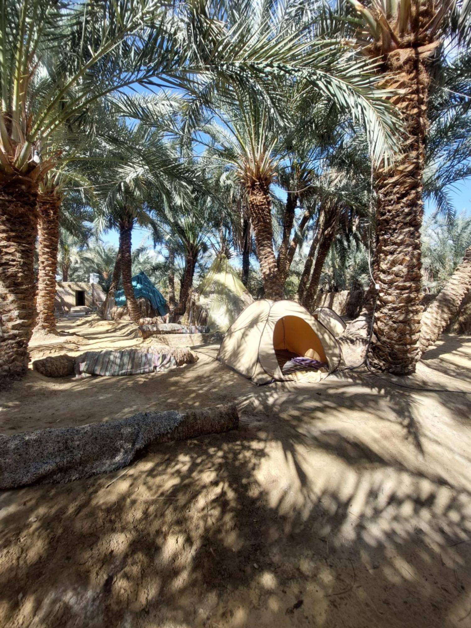 Forest Camp Siwa - كامب الغابة Siwa Oasis المظهر الخارجي الصورة