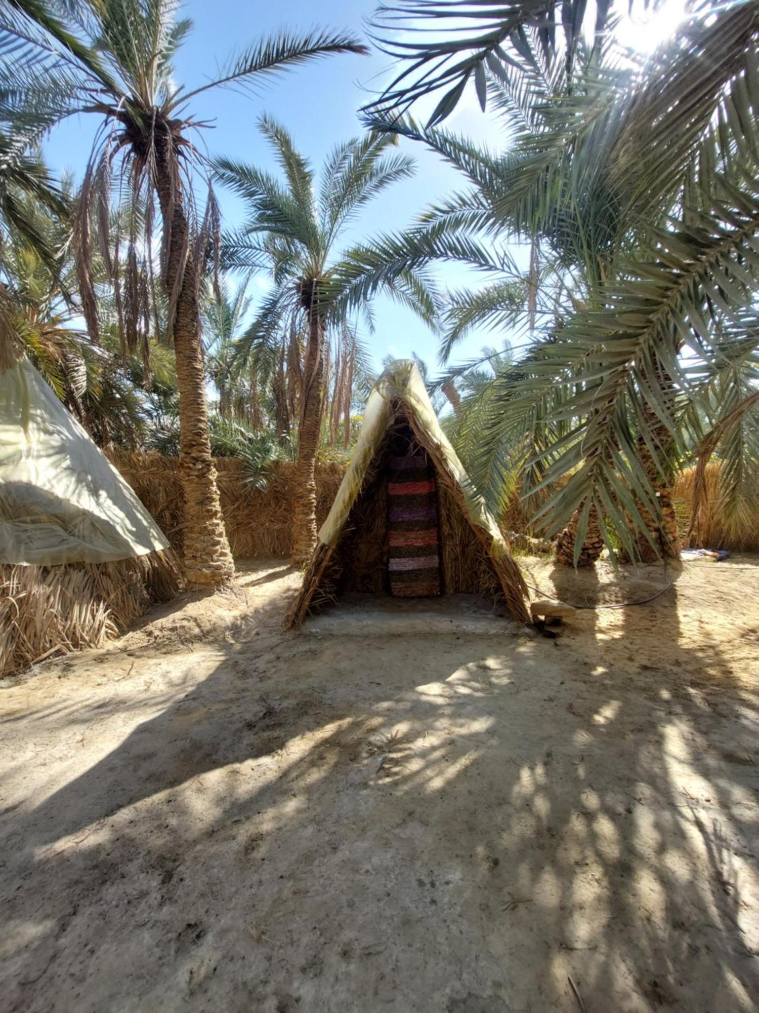 Forest Camp Siwa - كامب الغابة Siwa Oasis المظهر الخارجي الصورة