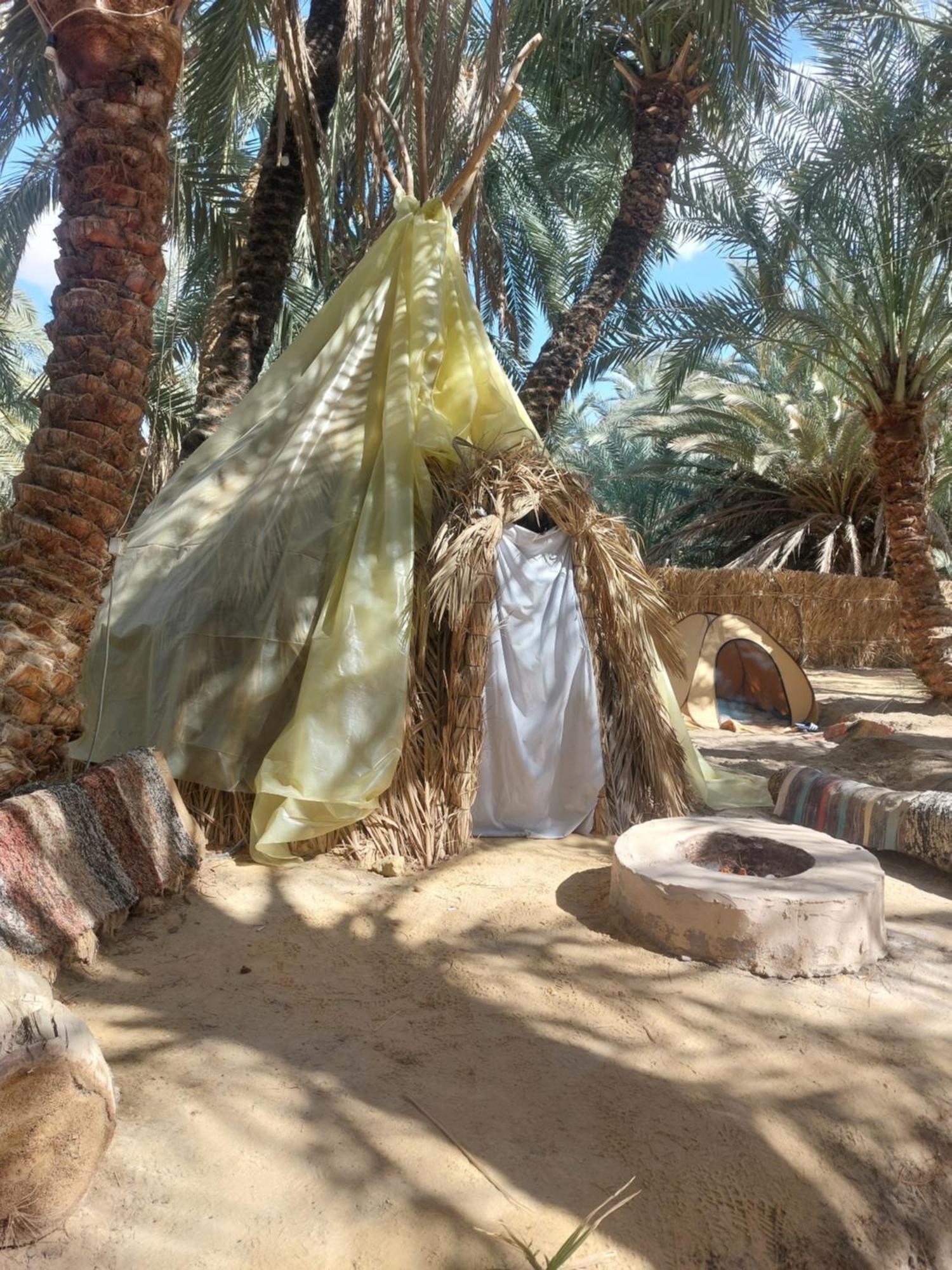 Forest Camp Siwa - كامب الغابة Siwa Oasis المظهر الخارجي الصورة