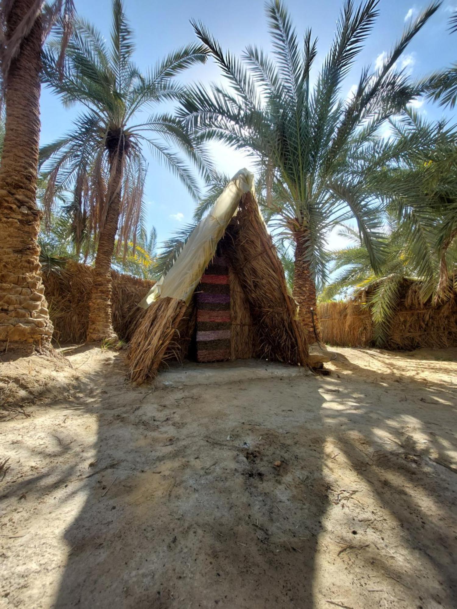 Forest Camp Siwa - كامب الغابة Siwa Oasis المظهر الخارجي الصورة