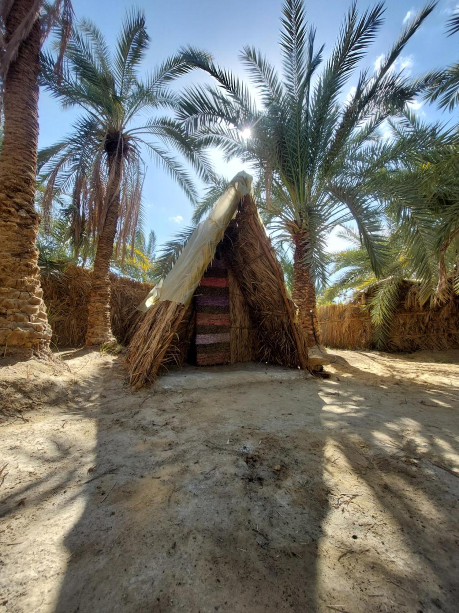 Forest Camp Siwa - كامب الغابة Siwa Oasis المظهر الخارجي الصورة