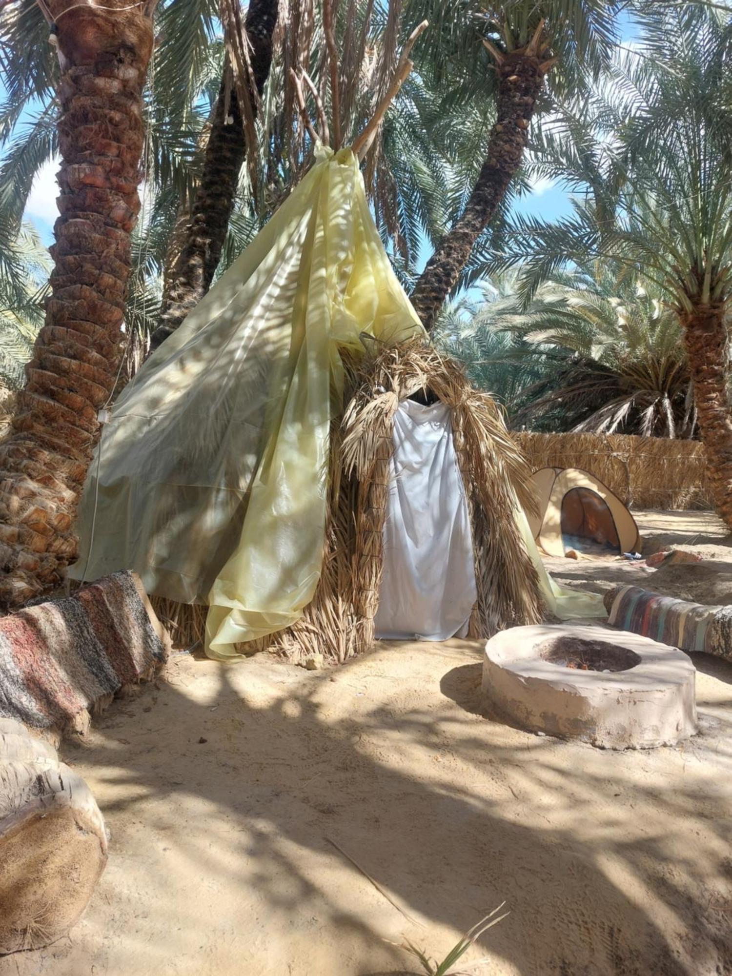 Forest Camp Siwa - كامب الغابة Siwa Oasis المظهر الخارجي الصورة