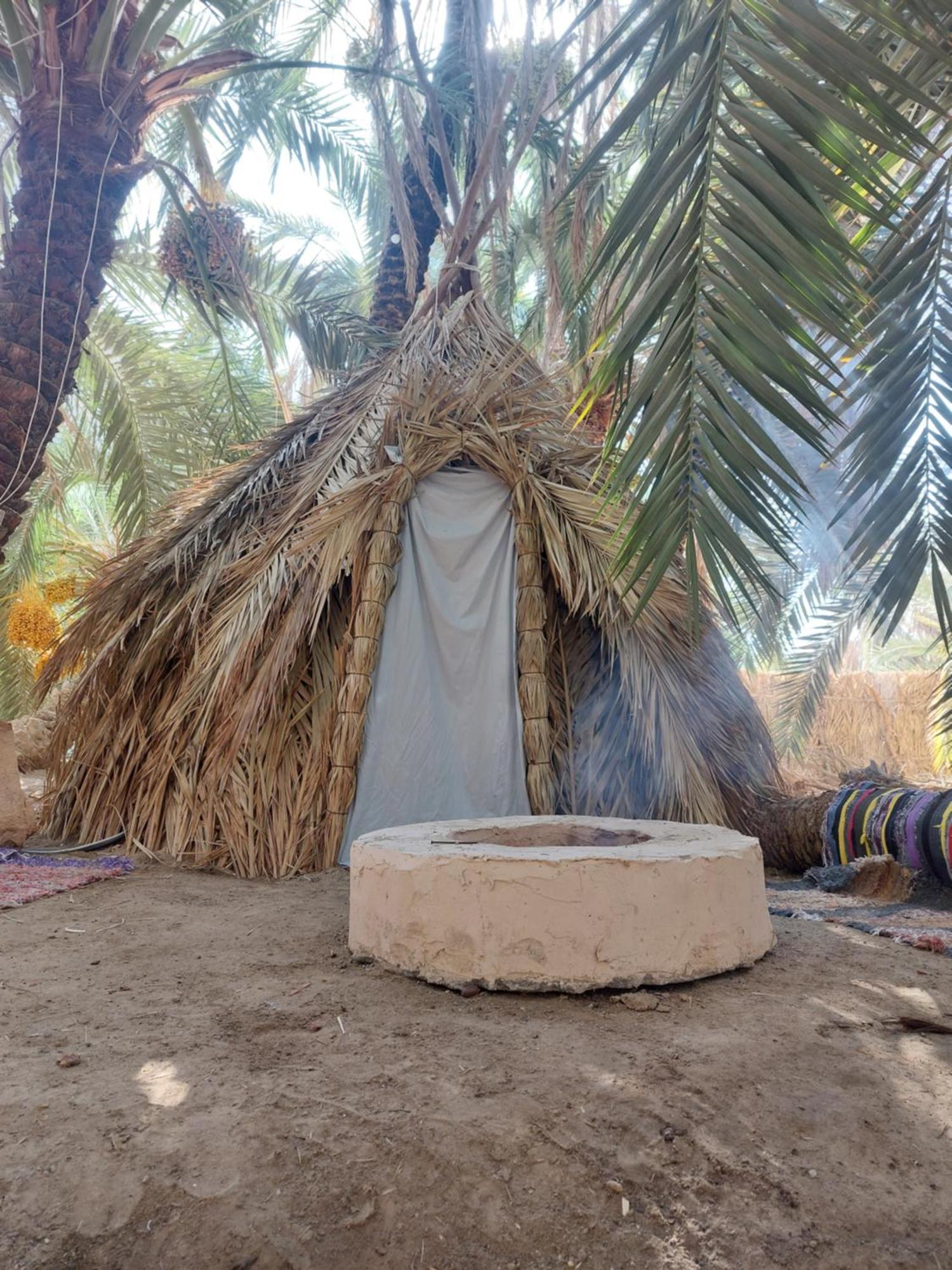 Forest Camp Siwa - كامب الغابة Siwa Oasis المظهر الخارجي الصورة