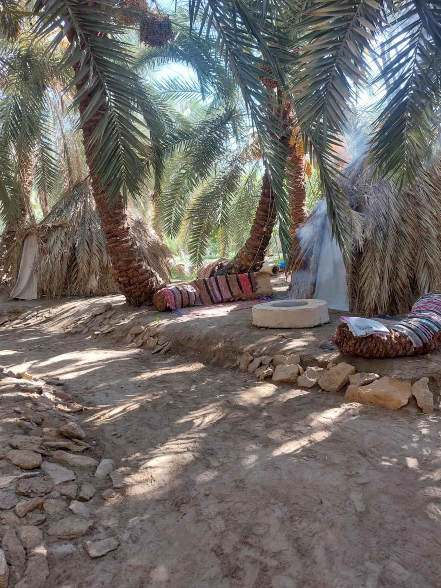 Forest Camp Siwa - كامب الغابة Siwa Oasis المظهر الخارجي الصورة