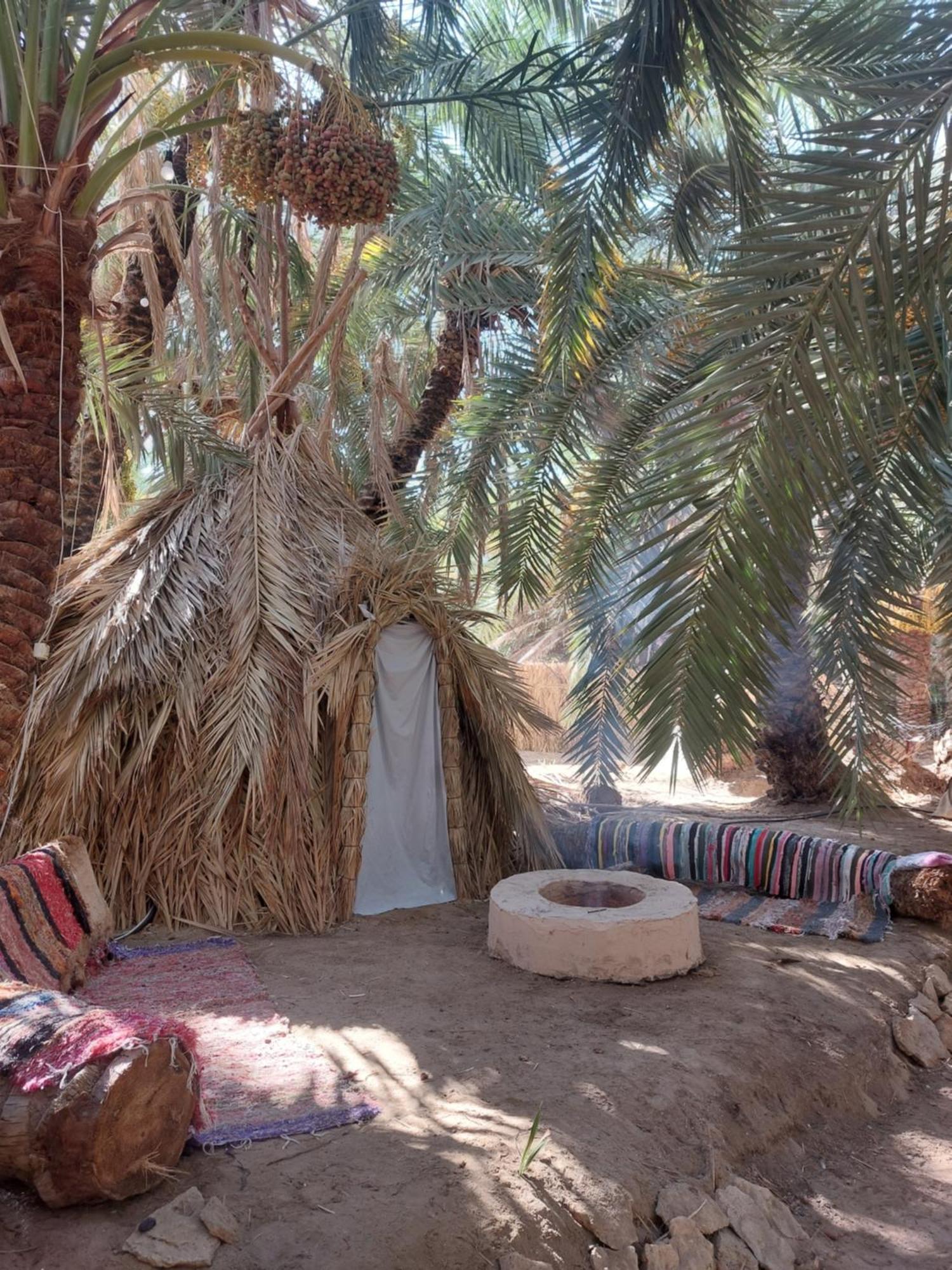 Forest Camp Siwa - كامب الغابة Siwa Oasis المظهر الخارجي الصورة