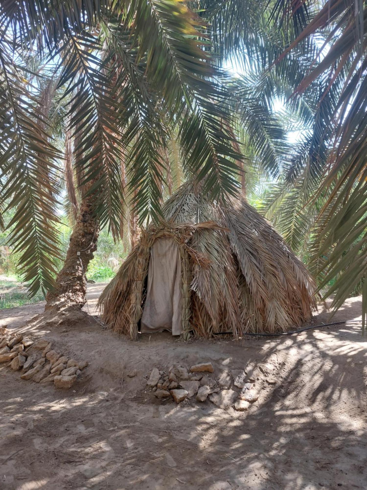 Forest Camp Siwa - كامب الغابة Siwa Oasis المظهر الخارجي الصورة