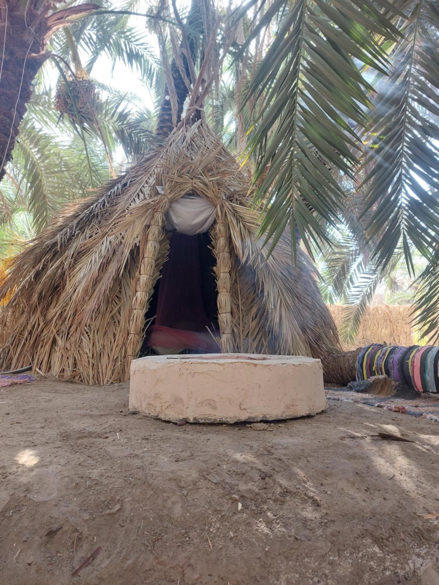 Forest Camp Siwa - كامب الغابة Siwa Oasis المظهر الخارجي الصورة