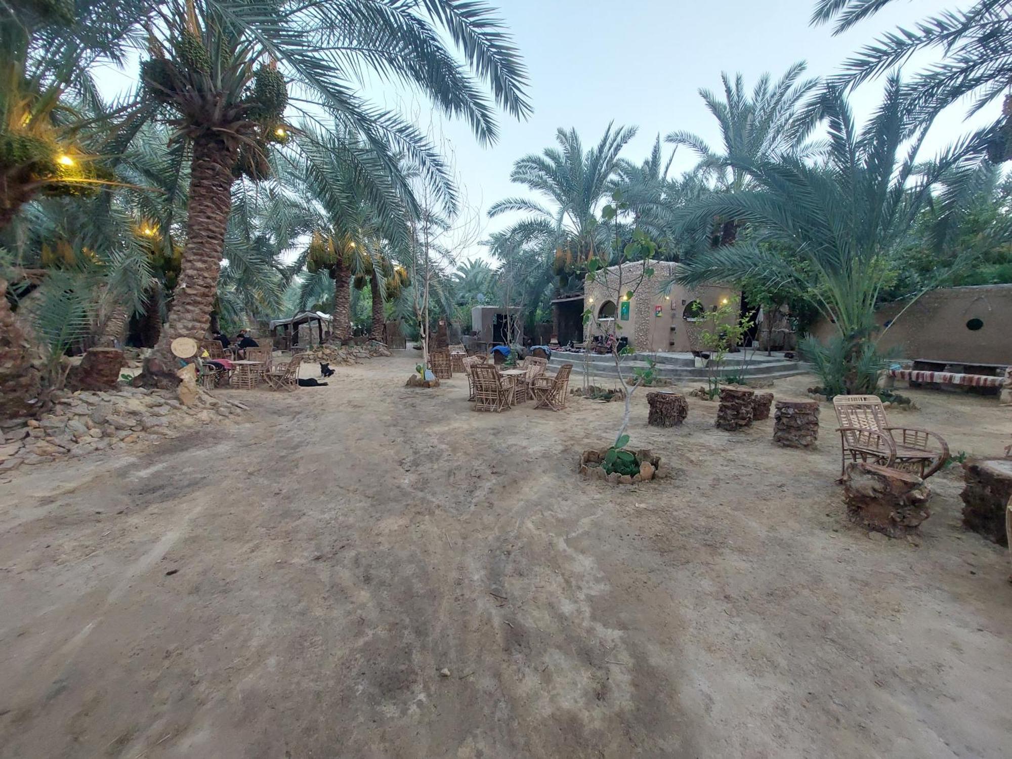 Forest Camp Siwa - كامب الغابة Siwa Oasis المظهر الخارجي الصورة