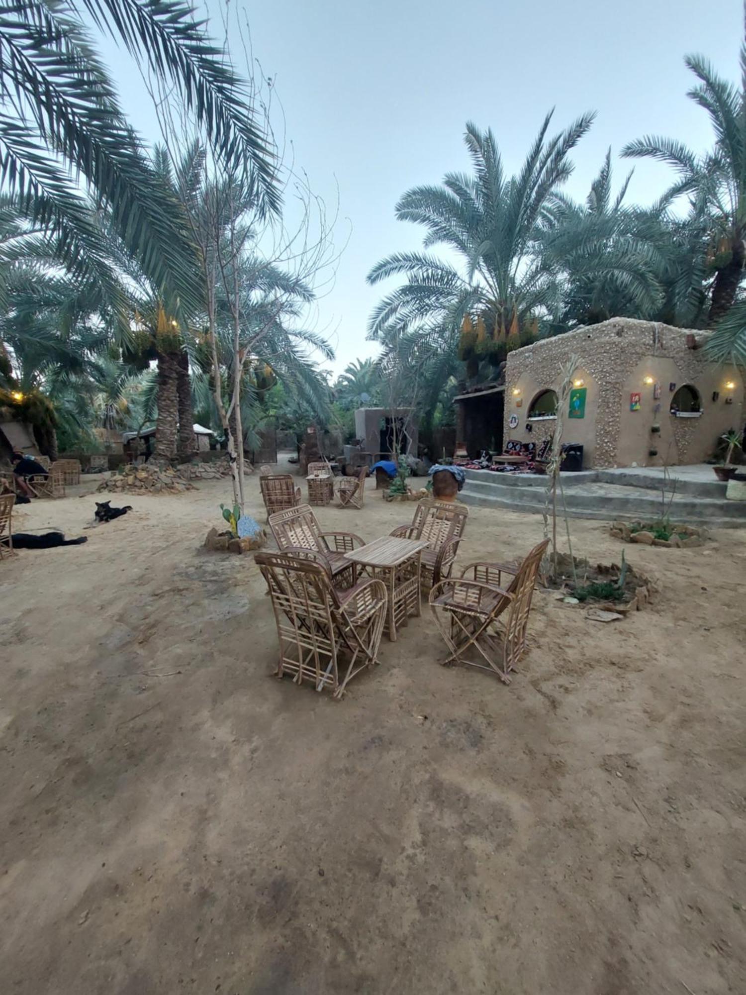 Forest Camp Siwa - كامب الغابة Siwa Oasis المظهر الخارجي الصورة