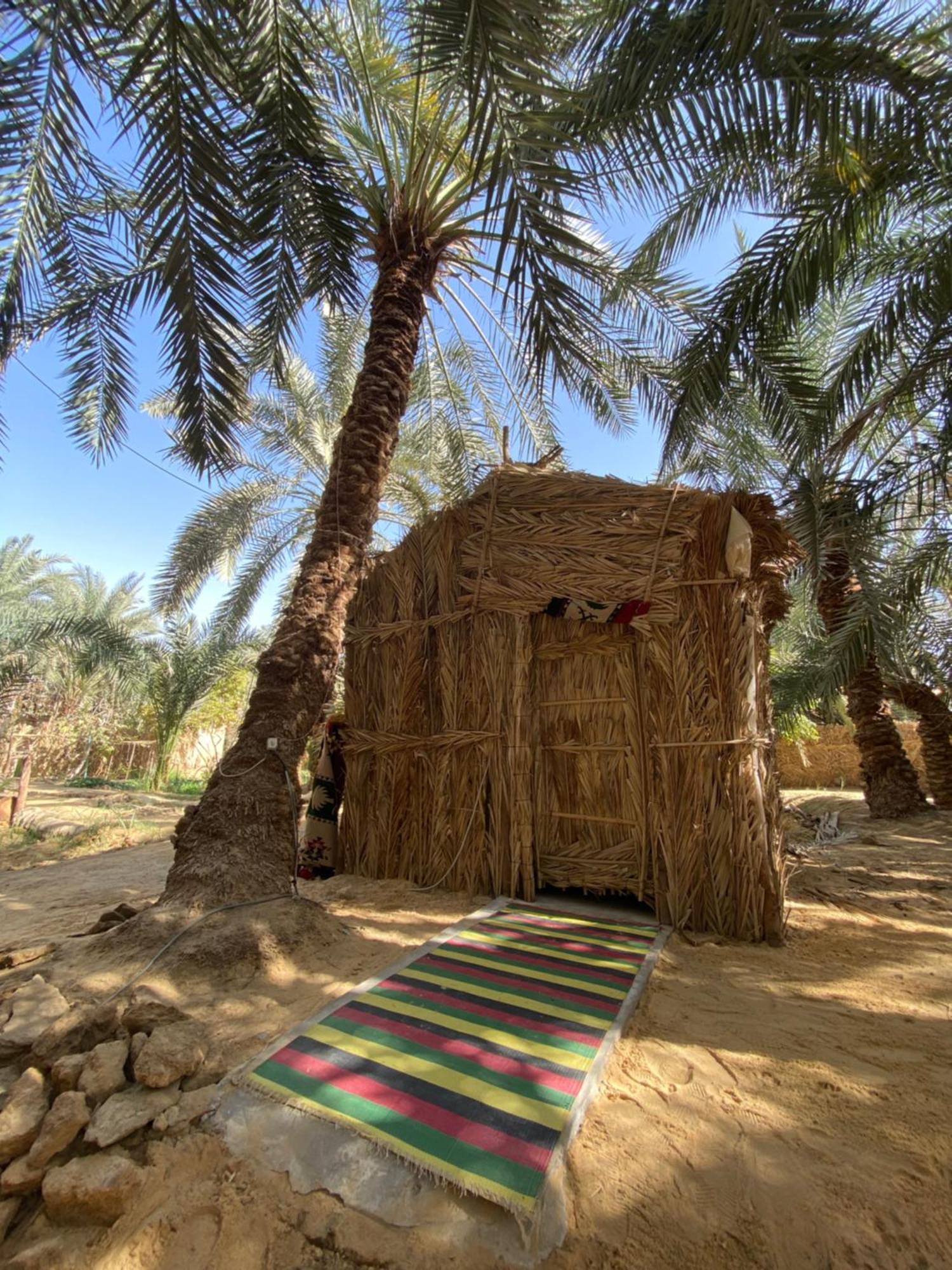 Forest Camp Siwa - كامب الغابة Siwa Oasis المظهر الخارجي الصورة