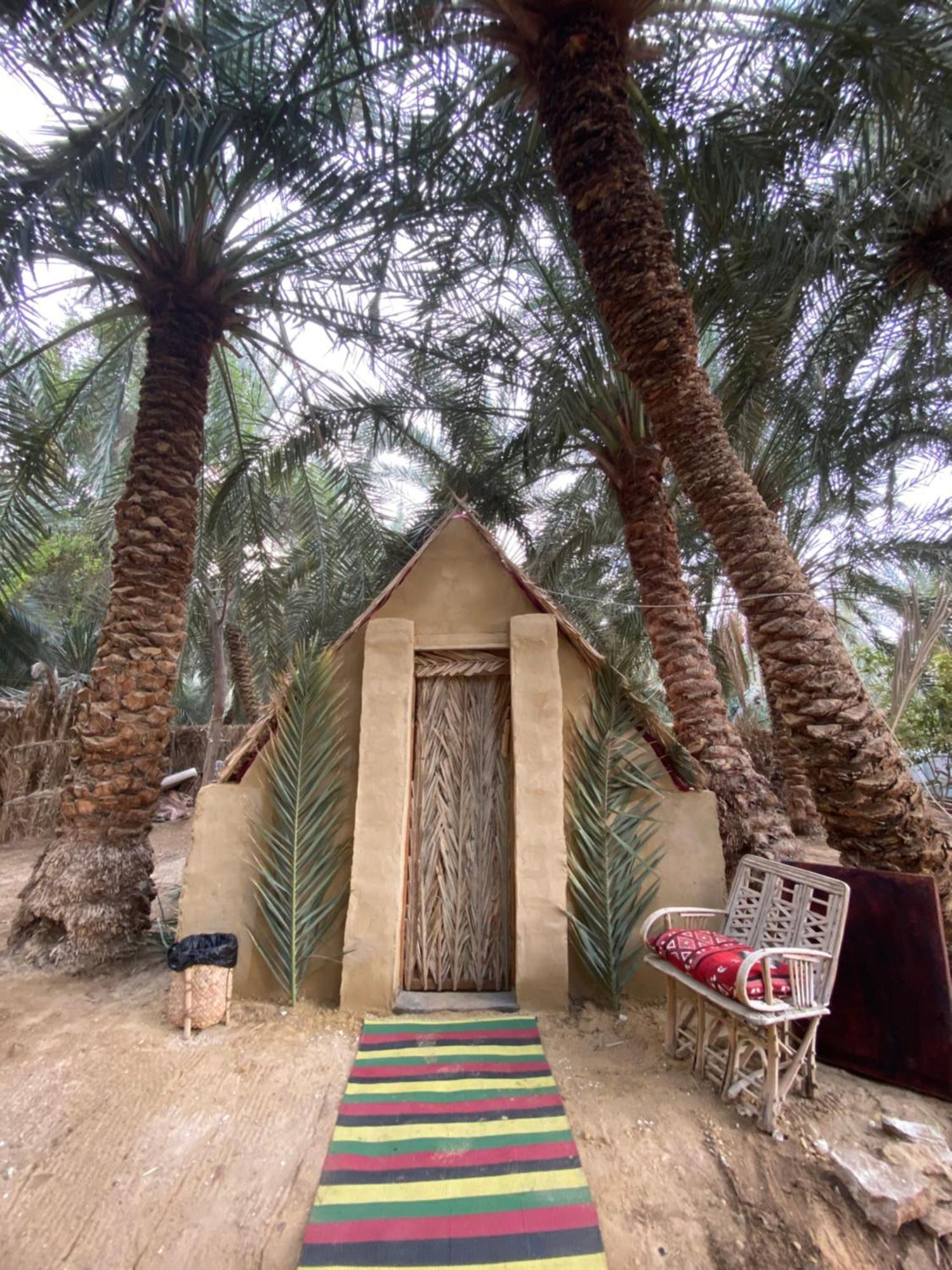 Forest Camp Siwa - كامب الغابة Siwa Oasis المظهر الخارجي الصورة
