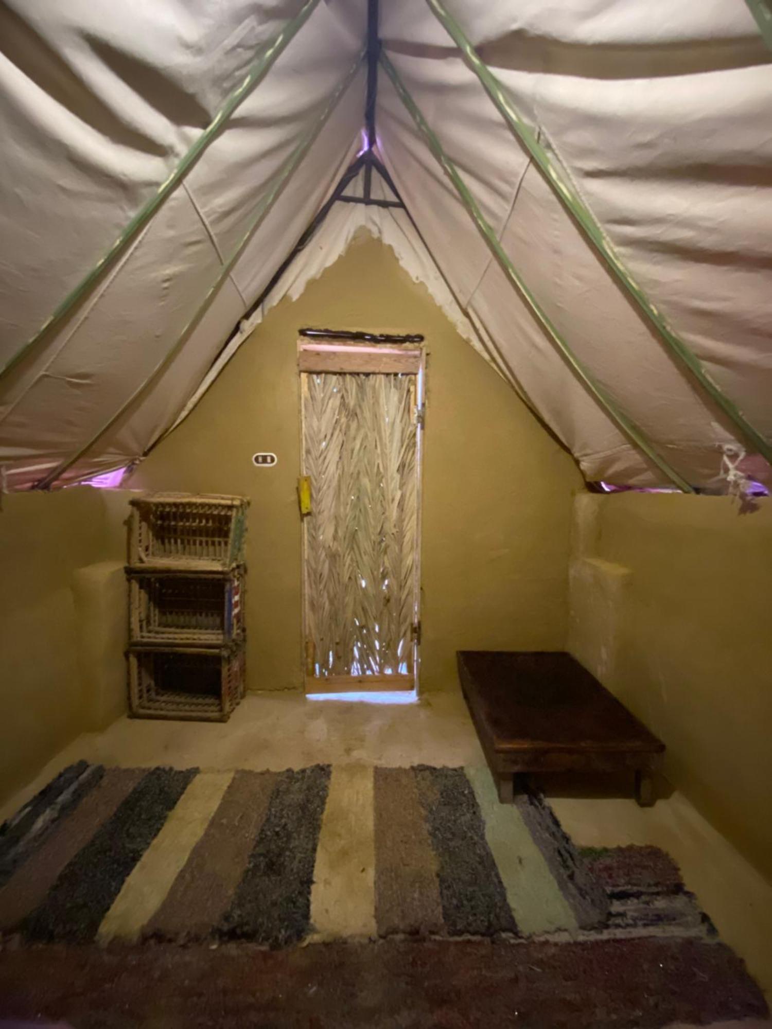 Forest Camp Siwa - كامب الغابة Siwa Oasis المظهر الخارجي الصورة