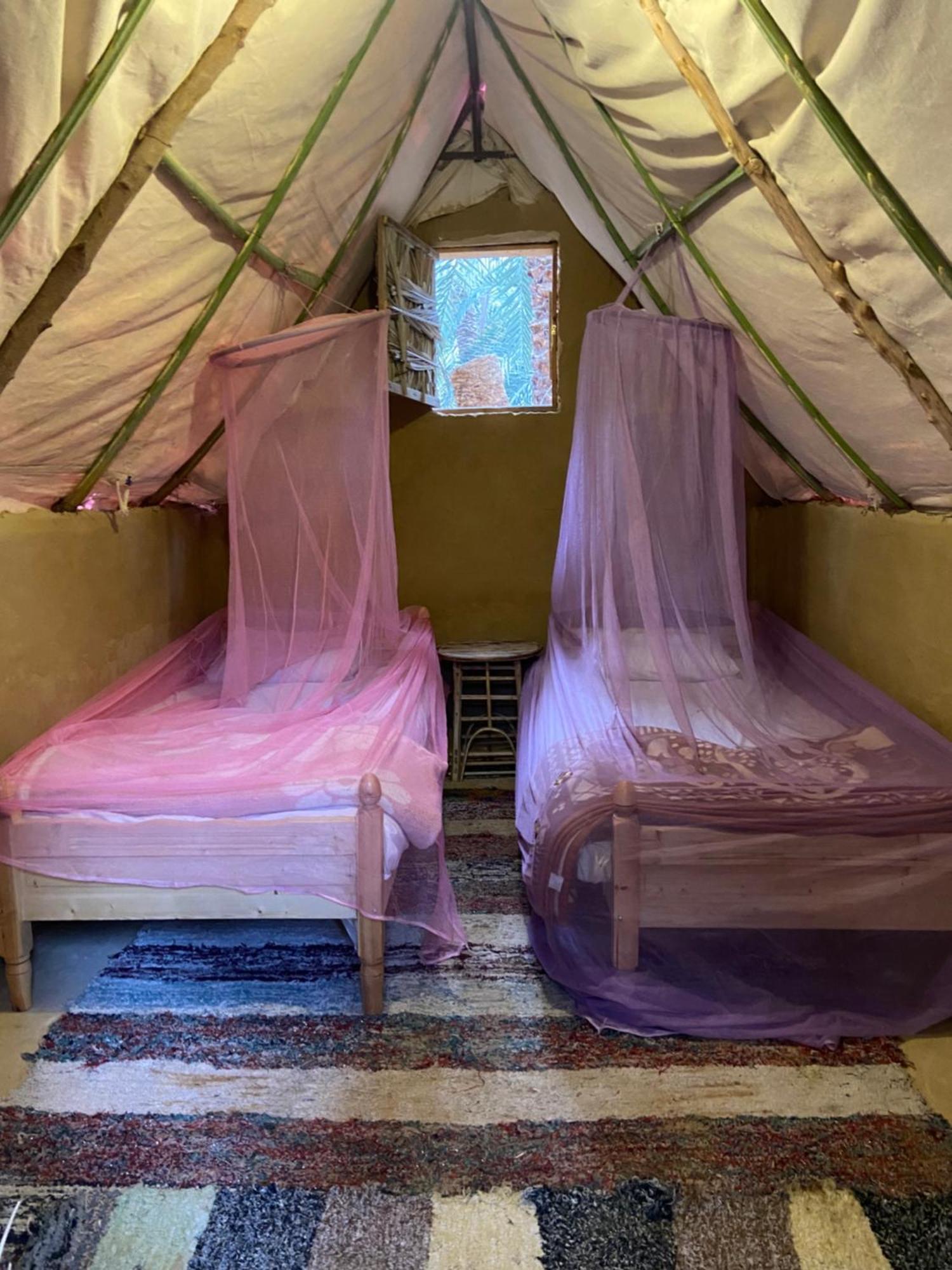 Forest Camp Siwa - كامب الغابة Siwa Oasis المظهر الخارجي الصورة
