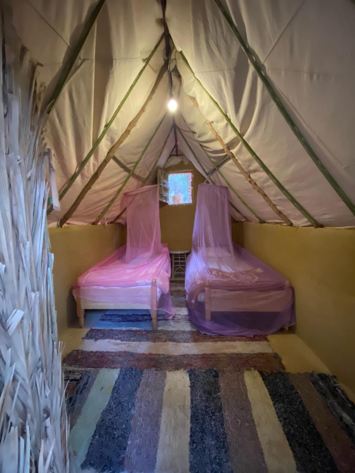 Forest Camp Siwa - كامب الغابة Siwa Oasis المظهر الخارجي الصورة