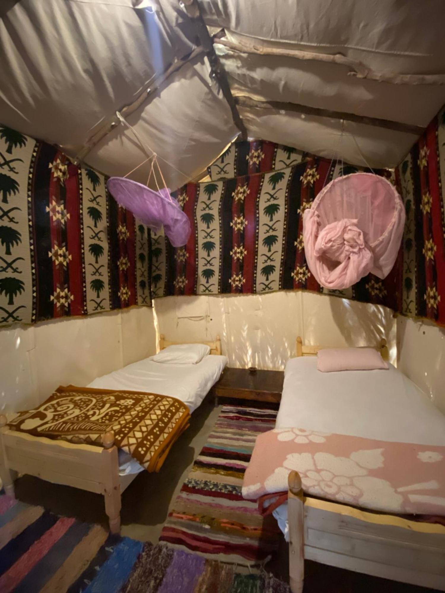 Forest Camp Siwa - كامب الغابة Siwa Oasis المظهر الخارجي الصورة