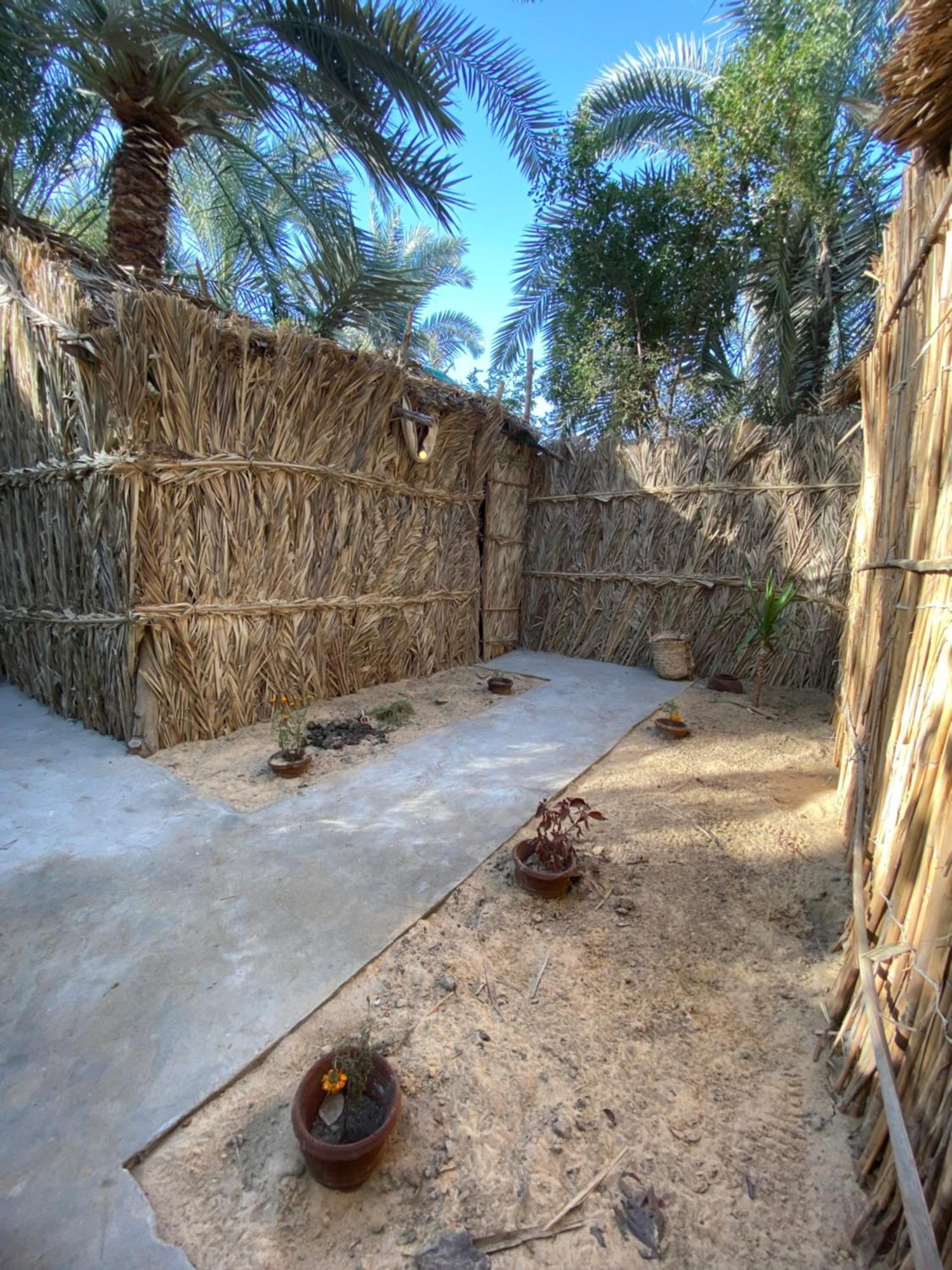 Forest Camp Siwa - كامب الغابة Siwa Oasis المظهر الخارجي الصورة
