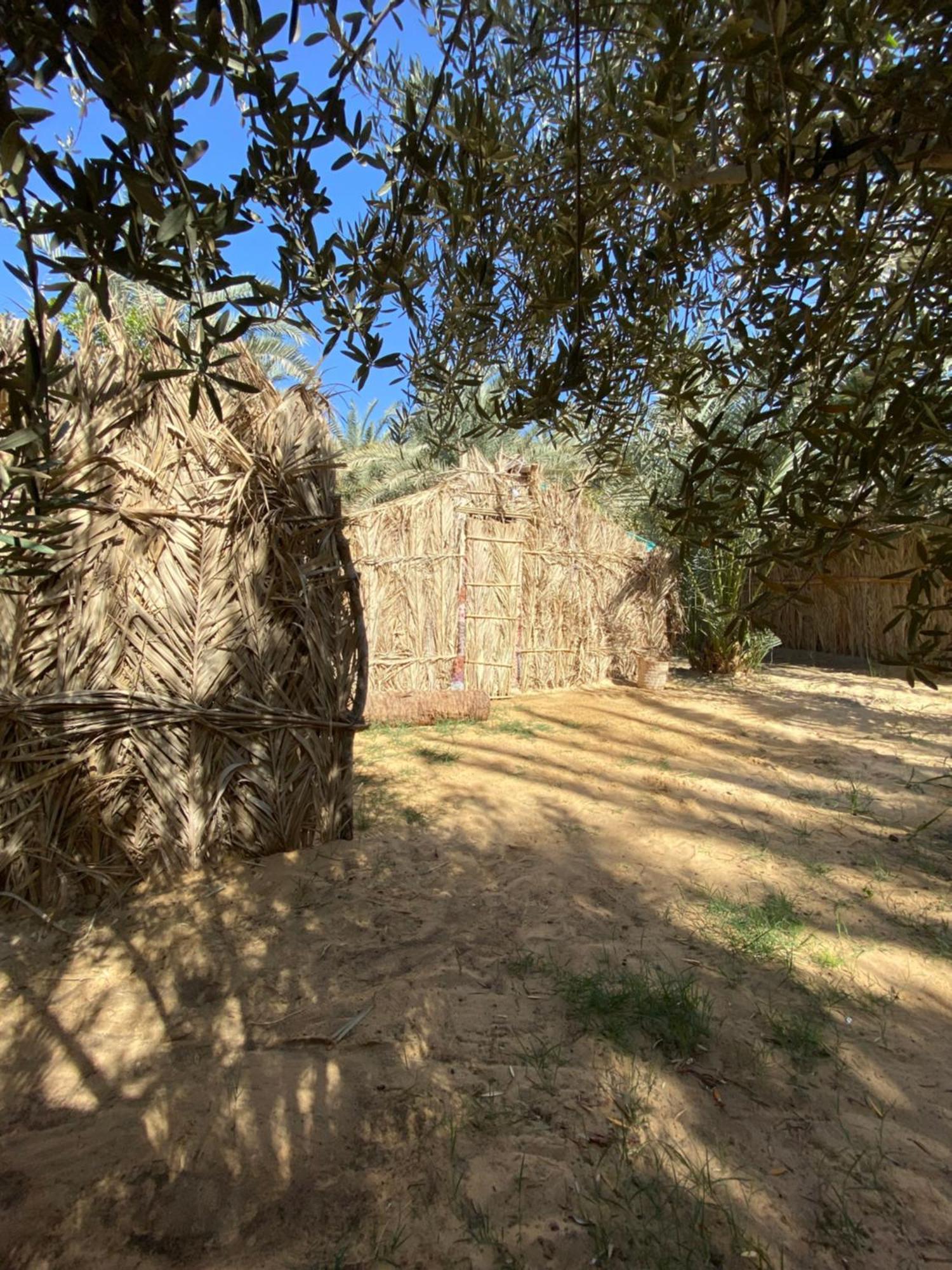 Forest Camp Siwa - كامب الغابة Siwa Oasis المظهر الخارجي الصورة