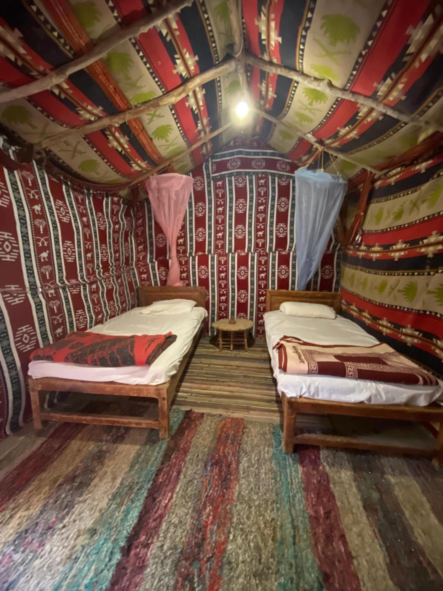 Forest Camp Siwa - كامب الغابة Siwa Oasis المظهر الخارجي الصورة