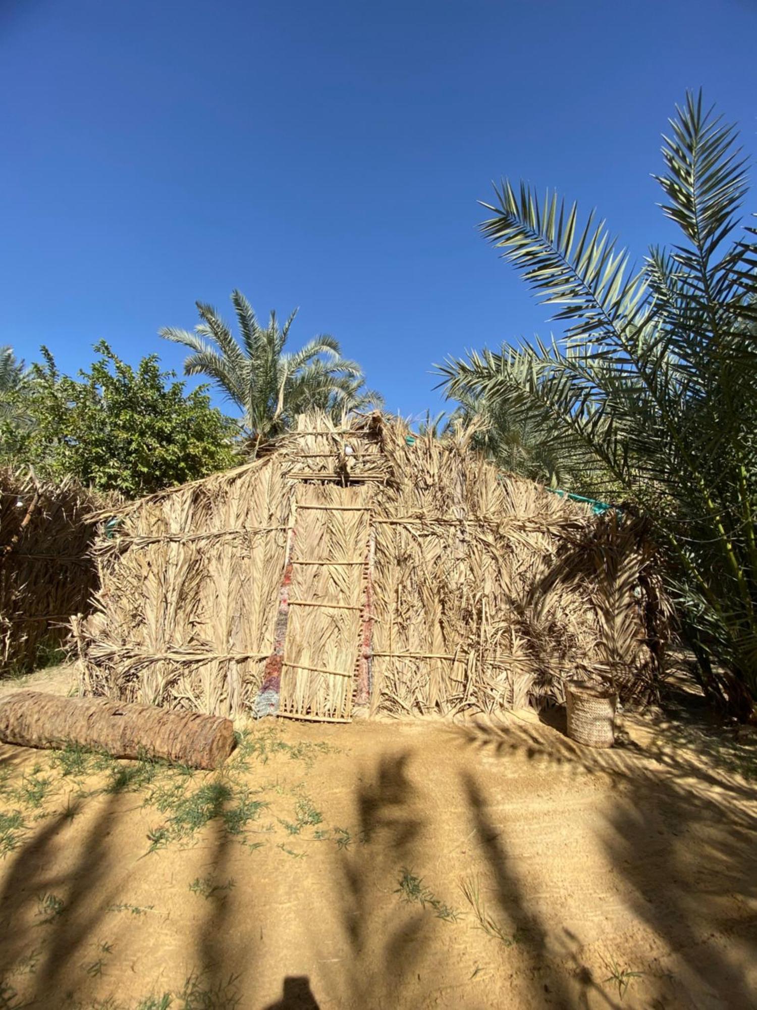 Forest Camp Siwa - كامب الغابة Siwa Oasis المظهر الخارجي الصورة