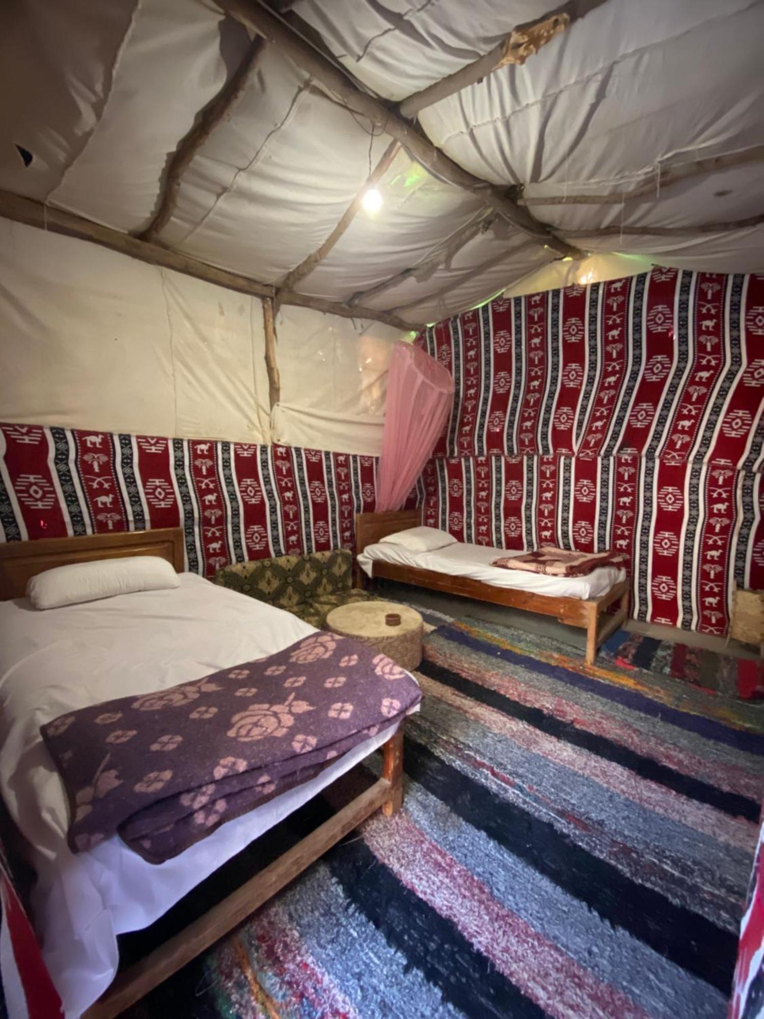 Forest Camp Siwa - كامب الغابة Siwa Oasis المظهر الخارجي الصورة