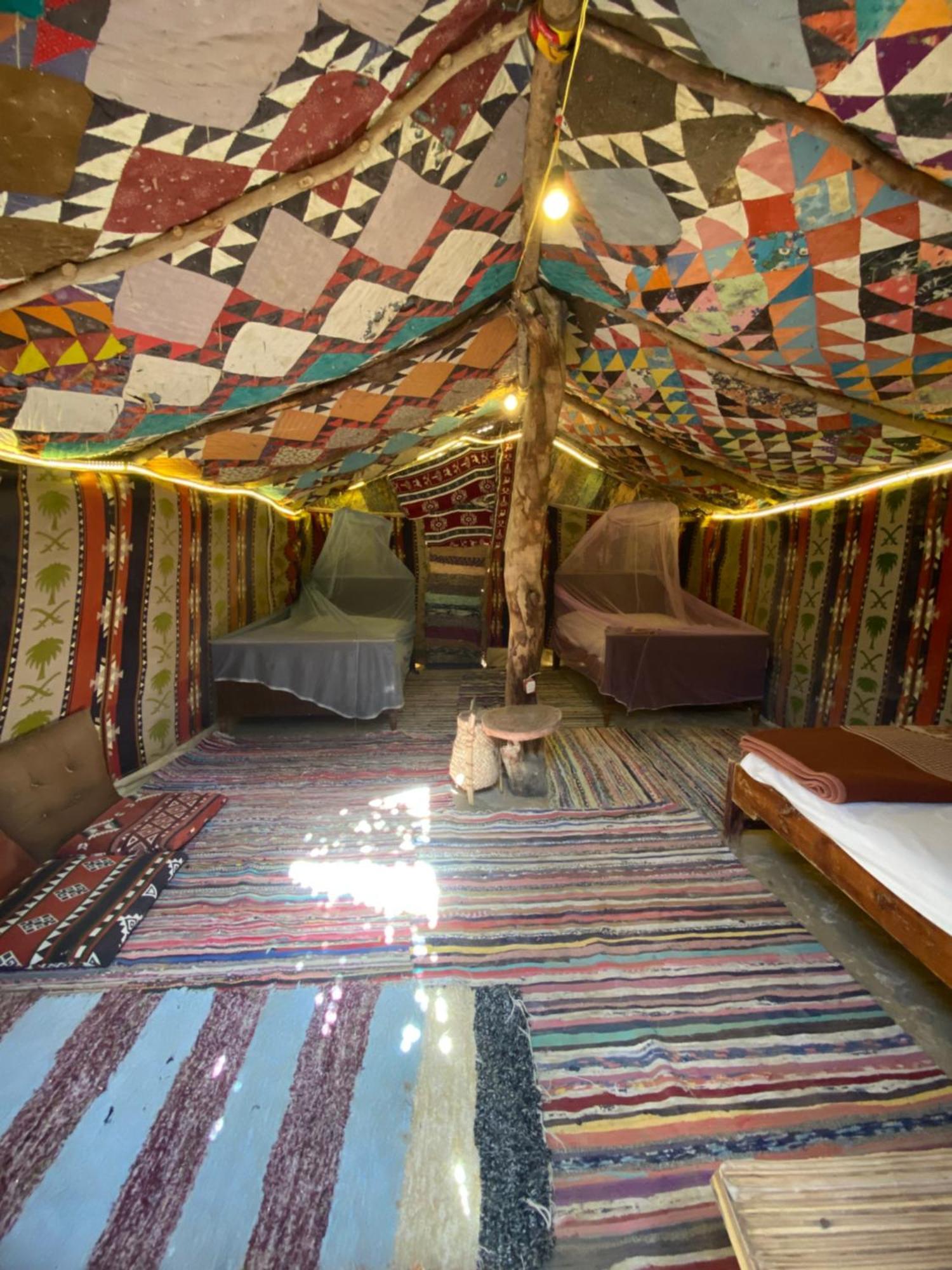 Forest Camp Siwa - كامب الغابة Siwa Oasis المظهر الخارجي الصورة