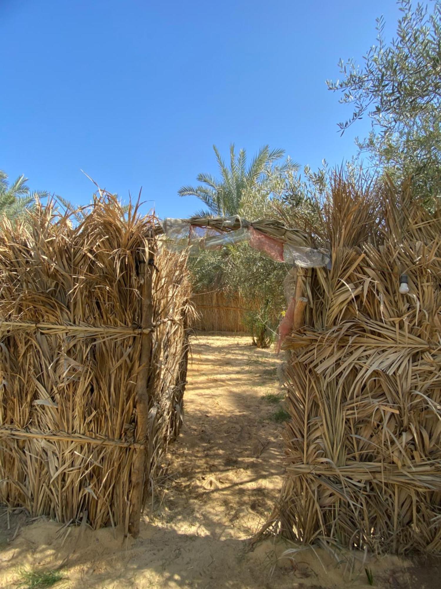 Forest Camp Siwa - كامب الغابة Siwa Oasis المظهر الخارجي الصورة