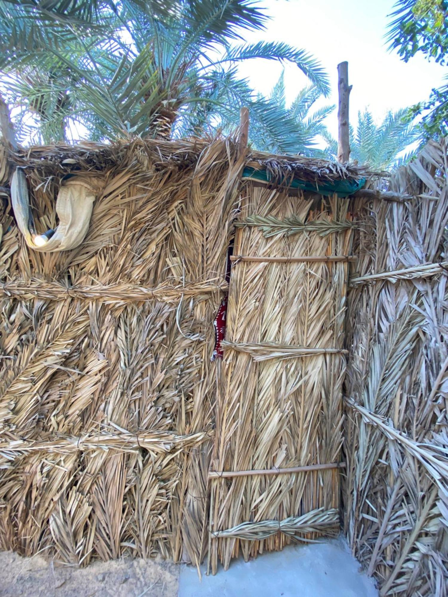 Forest Camp Siwa - كامب الغابة Siwa Oasis المظهر الخارجي الصورة
