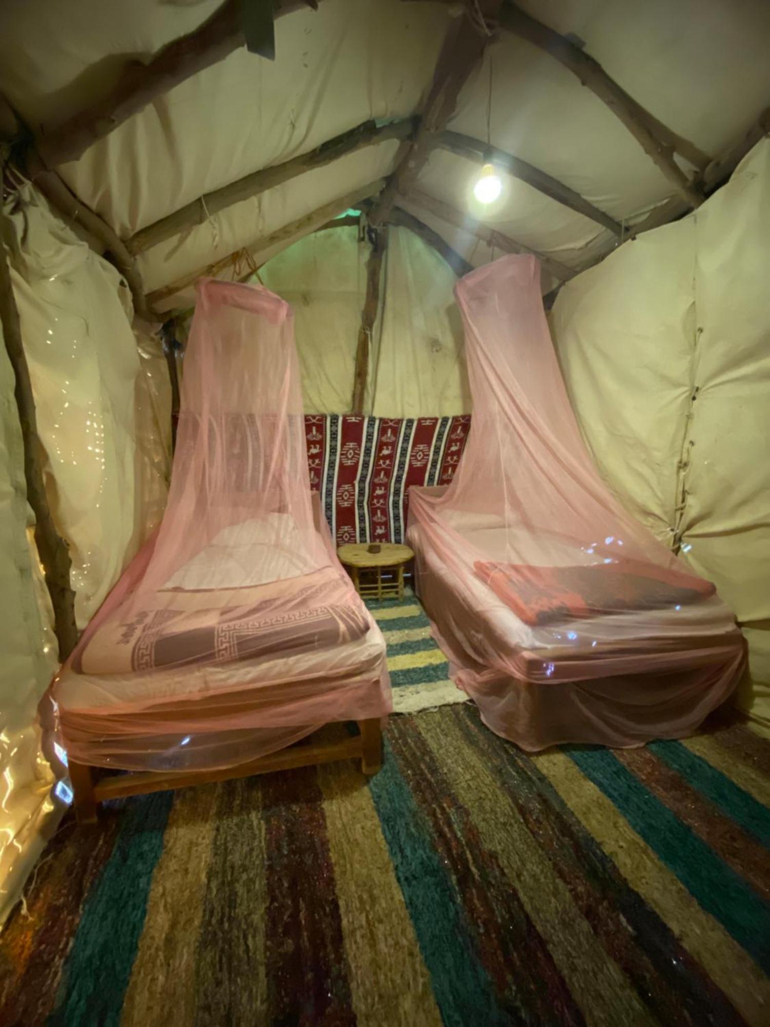 Forest Camp Siwa - كامب الغابة Siwa Oasis المظهر الخارجي الصورة