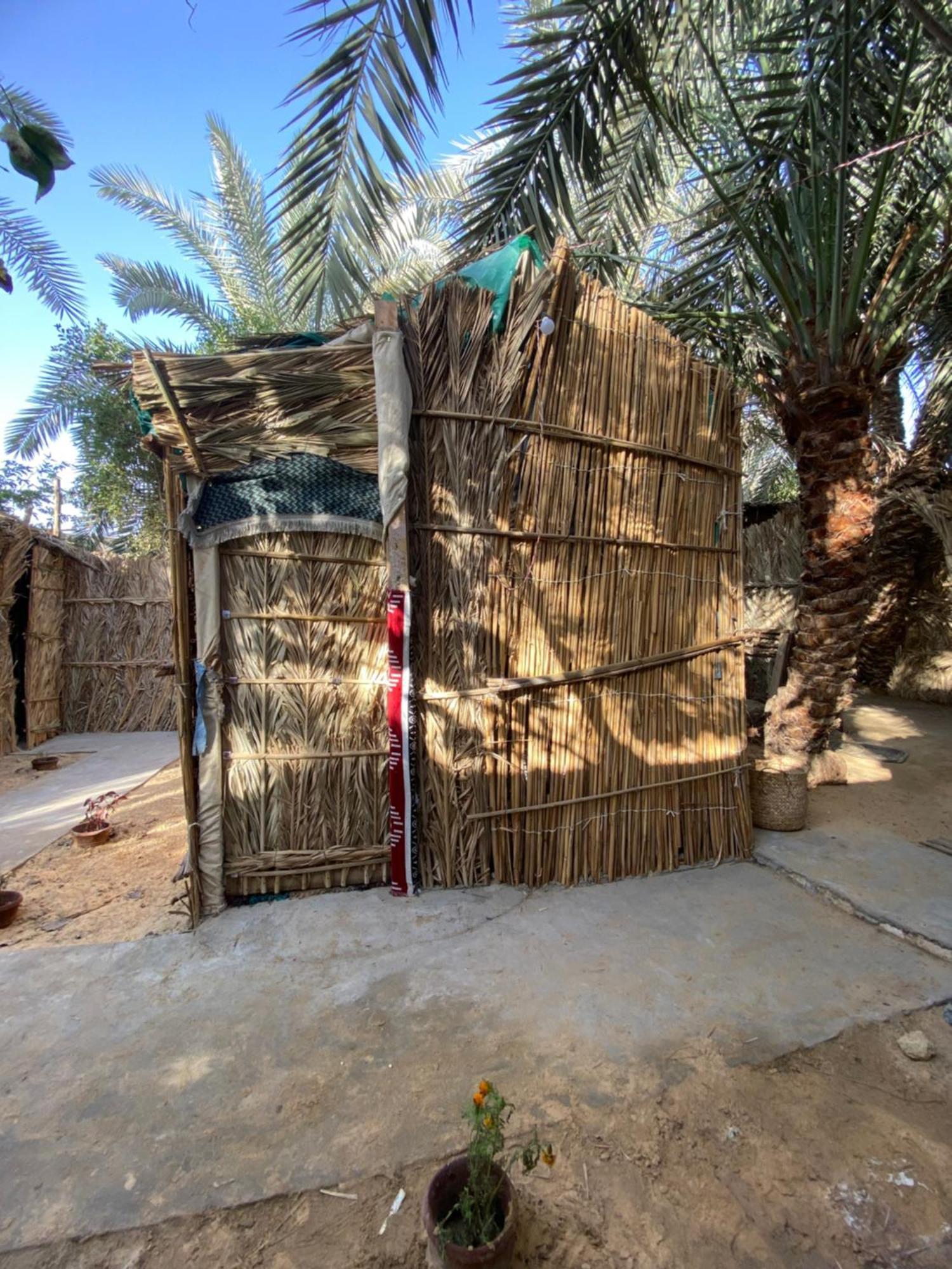 Forest Camp Siwa - كامب الغابة Siwa Oasis المظهر الخارجي الصورة
